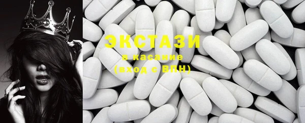 ECSTASY Бородино